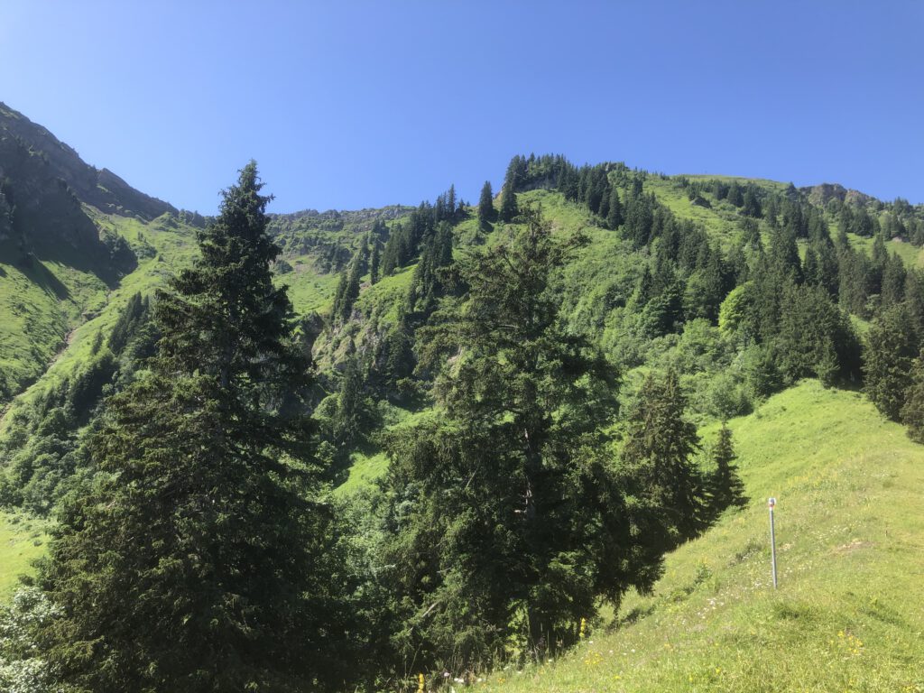 Wandern im Bregenzer Wald
