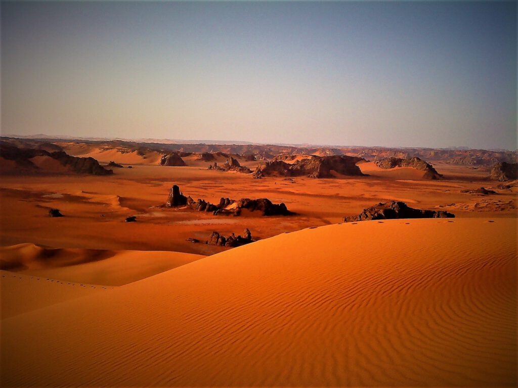 Sahara
