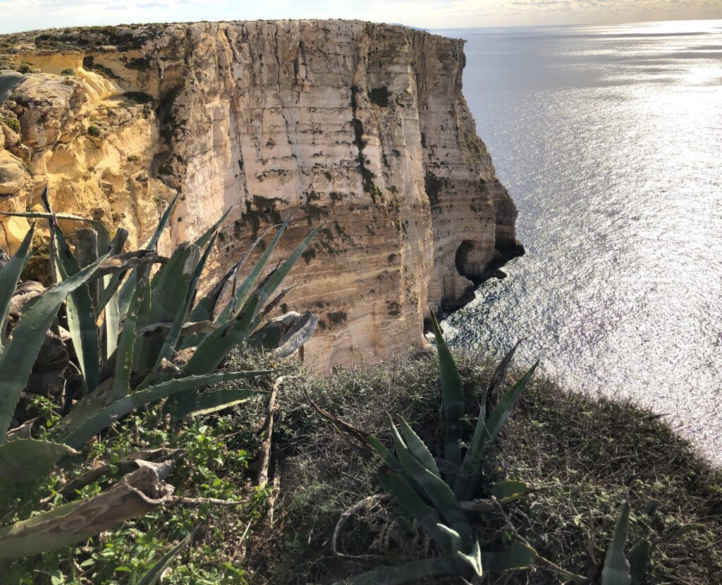 Felsklippen auf der Insel Gozo/Malta
