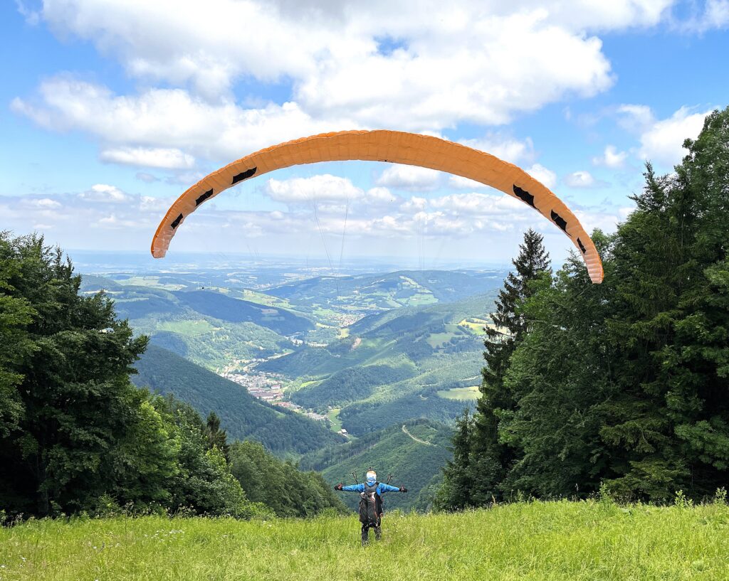 Am Muckenkogel in Niederösterreich
