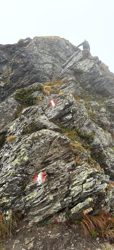 Am Ochsenkopf bei Königsleiten

