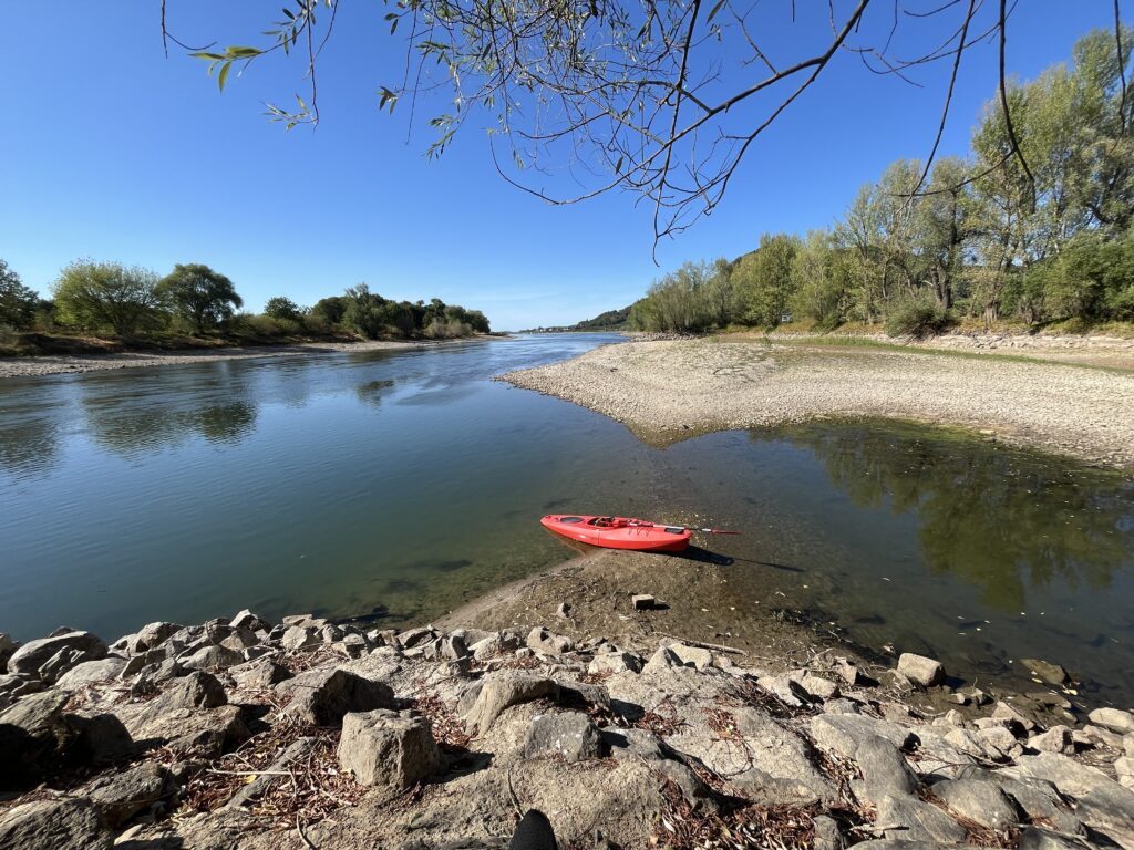 Niedrigwasser im Rhein bei Rolandseck
